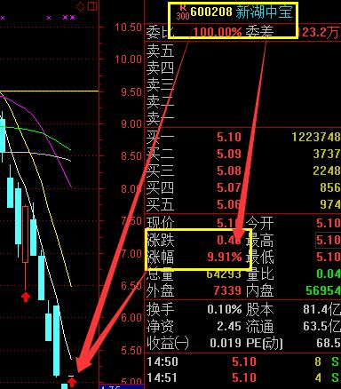 新湖中宝股票最新消息全面解析