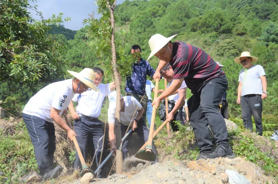 永兴村委会最新动态报道