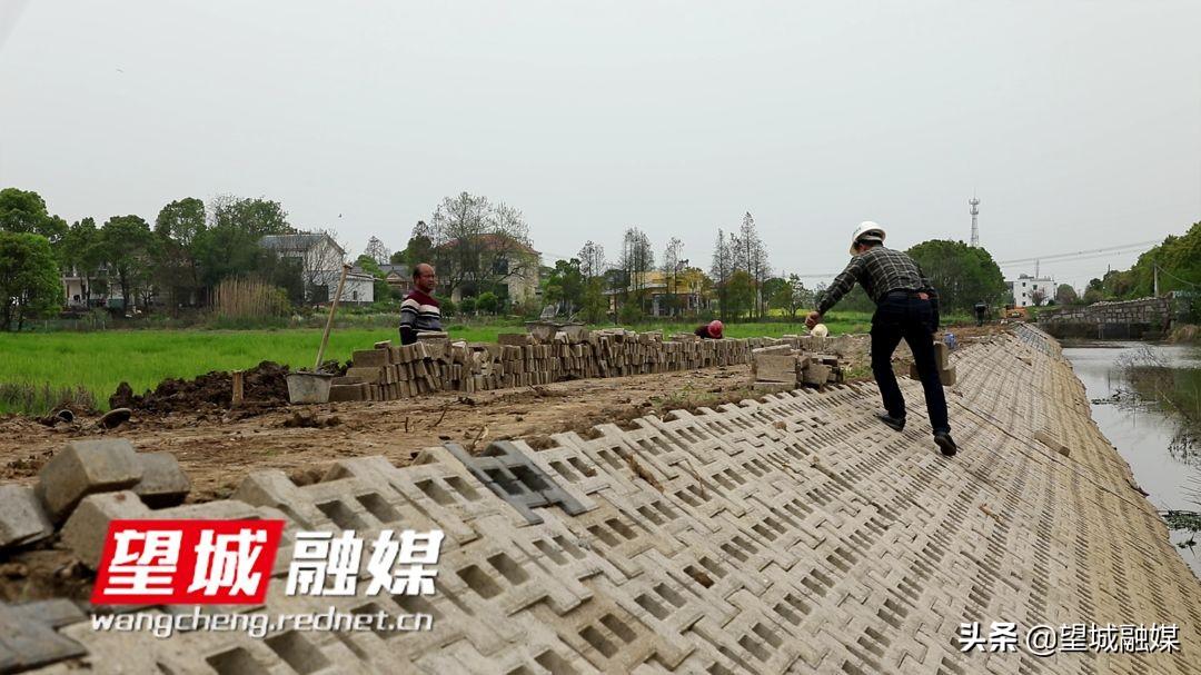 望城县级公路维护监理事业单位招聘启事公告