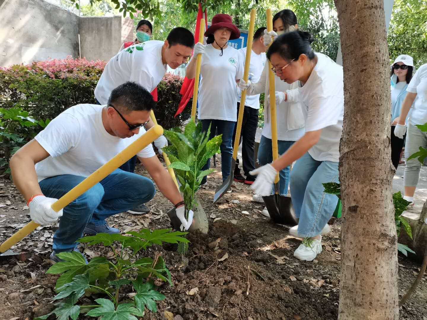 雨山区交通运输局项目最新进展与影响概述