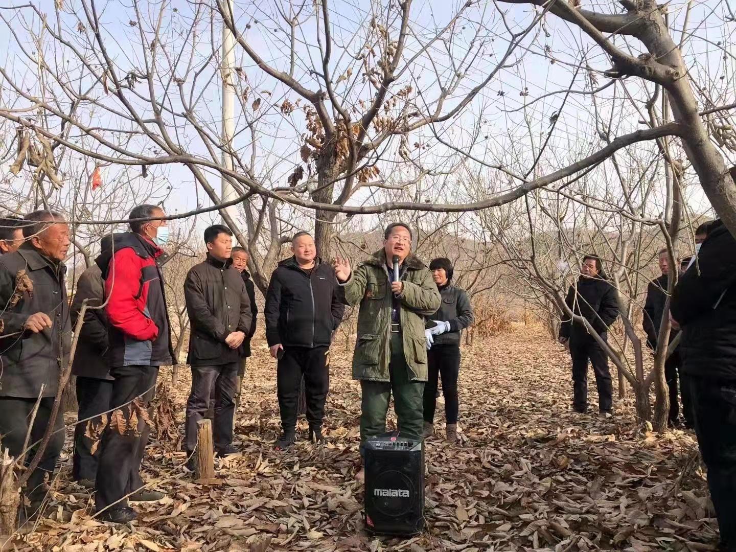 玉田县住房和城乡建设局最新项目概览与动态