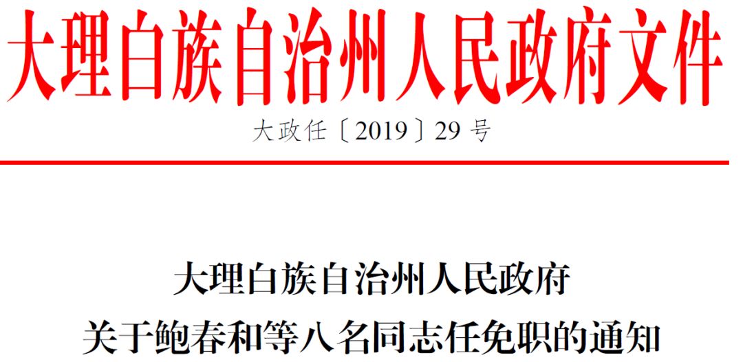 大理白族自治州市行政审批办公室人事任命最新公告