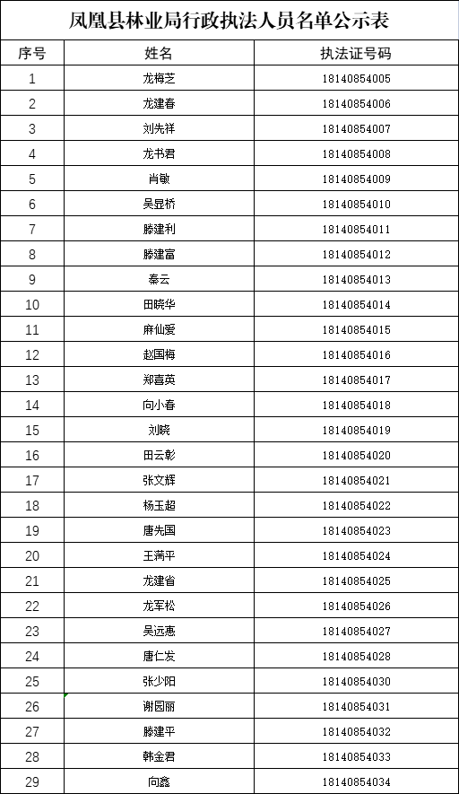 凤凰县数据和政务服务局最新项目进展及其影响综述