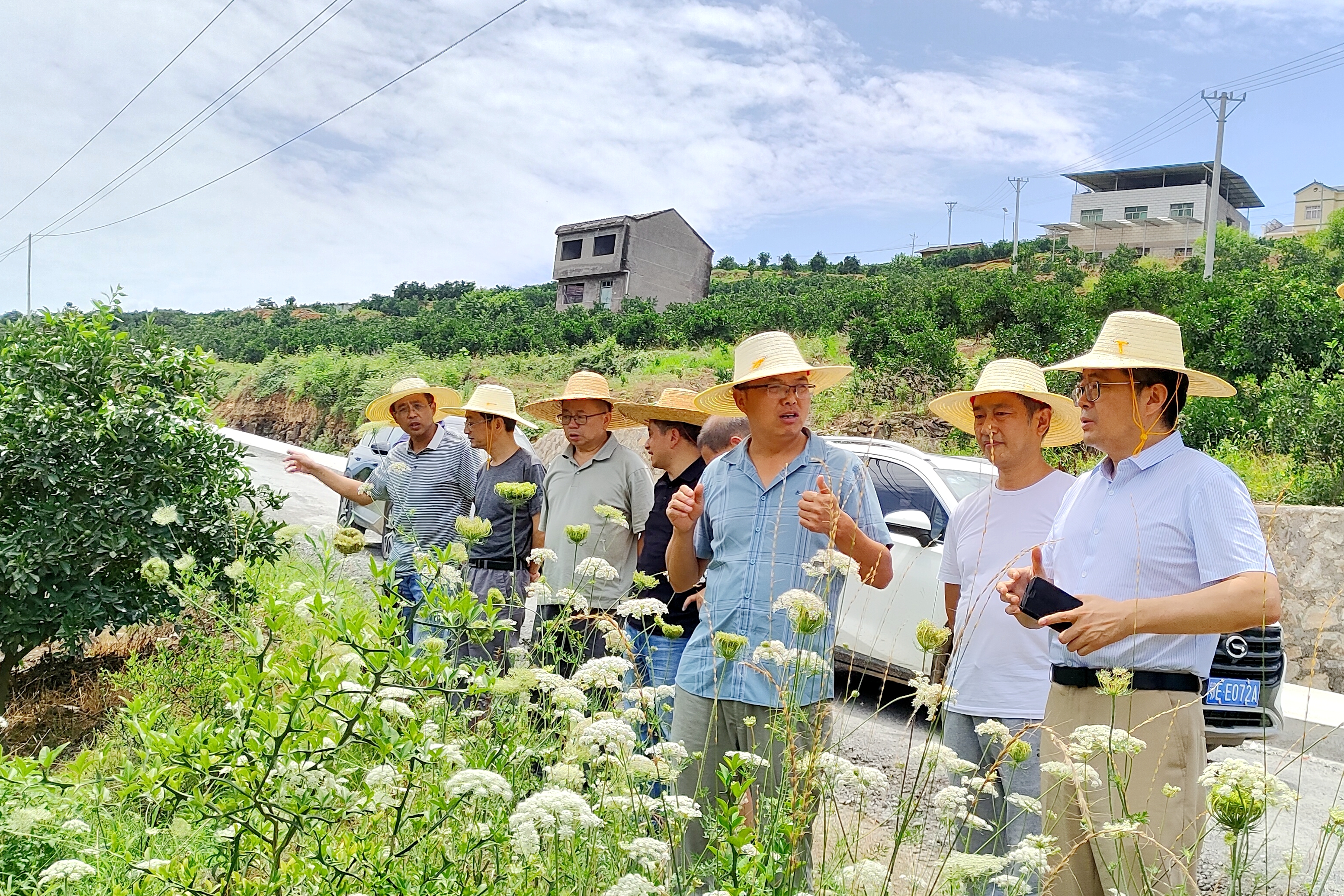 茅麓镇交通升级助力地方发展最新动态