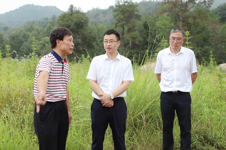 李溪镇未来发展规划，打造宜居宜业新城镇