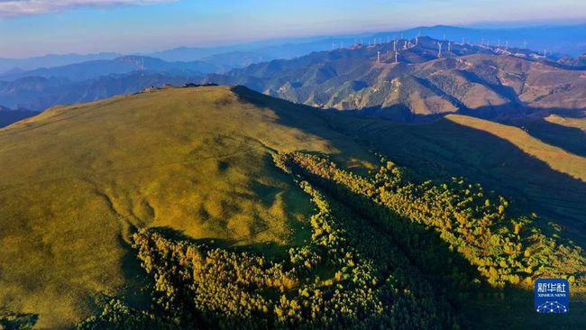 山西省大同市大同县最新天气预报