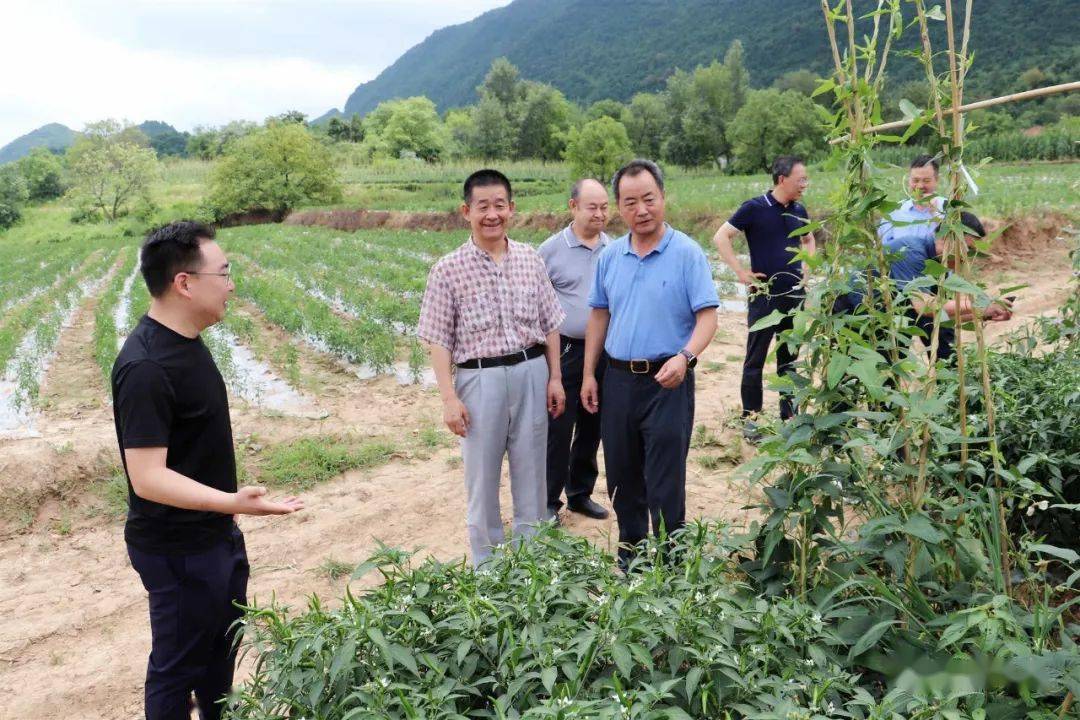 成县农业农村局最新发展规划概览