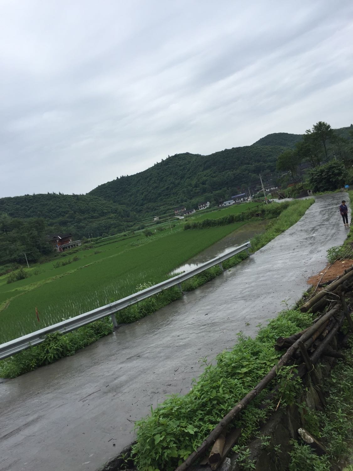 能仁乡天气预报更新通知