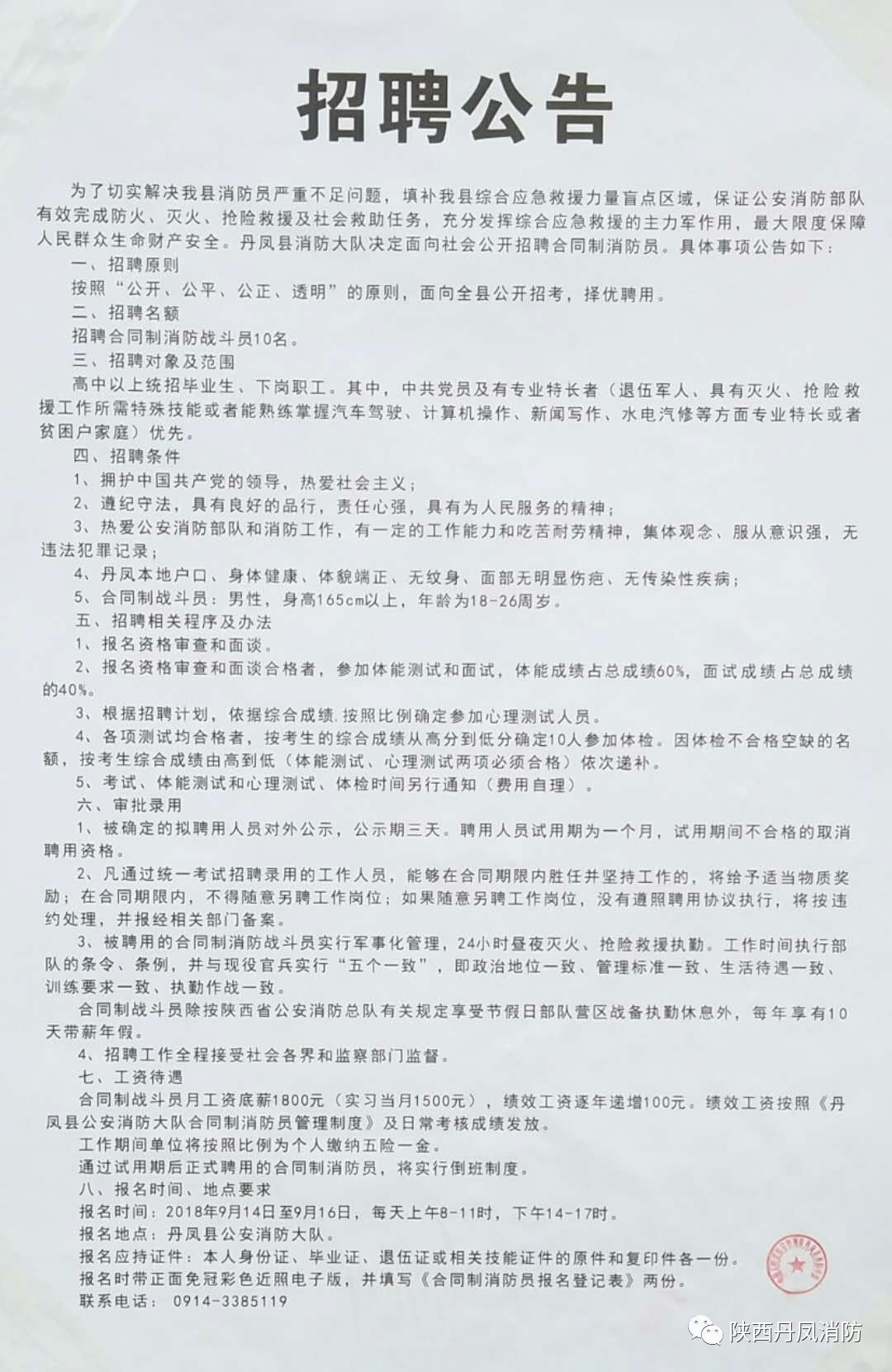 丹凤县卫生健康局最新招聘信息概览