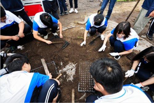 沈阳市劳动和社会保障局最新发展规划，构建和谐社会保障网络