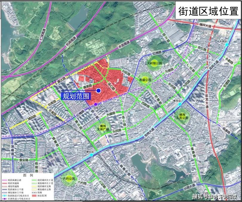 若笠村委会最新发展规划概览