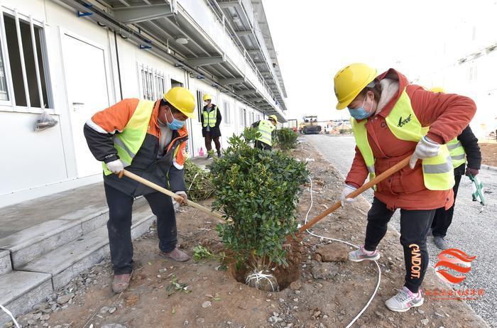 高陵县卫生健康局最新招聘启事