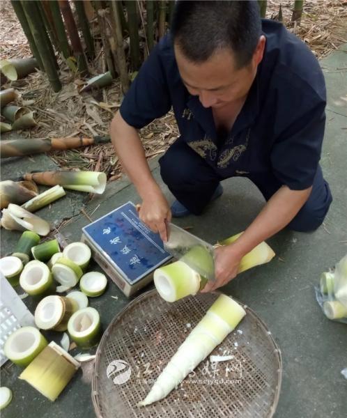 江油市自然资源和规划局最新招聘信息概述