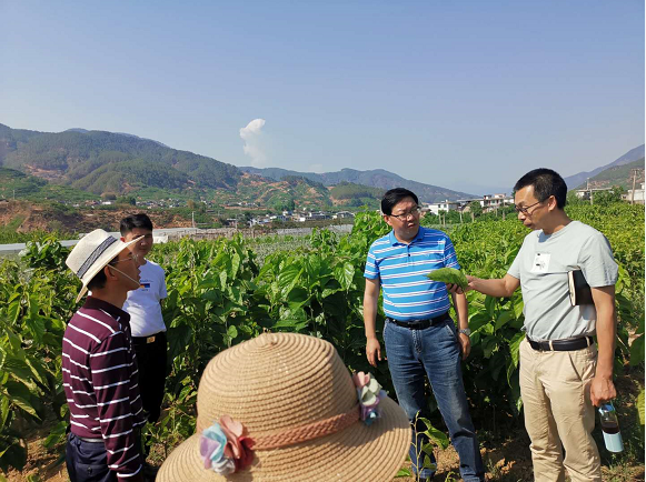 西沙群岛农业农村局最新项目，推动农业现代化建设，助力乡村振兴