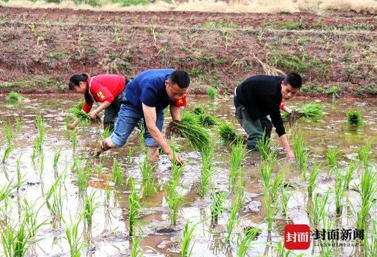 自贡市扶贫开发领导小组办公室最新项目，推动地方经济与社会发展的强大引擎