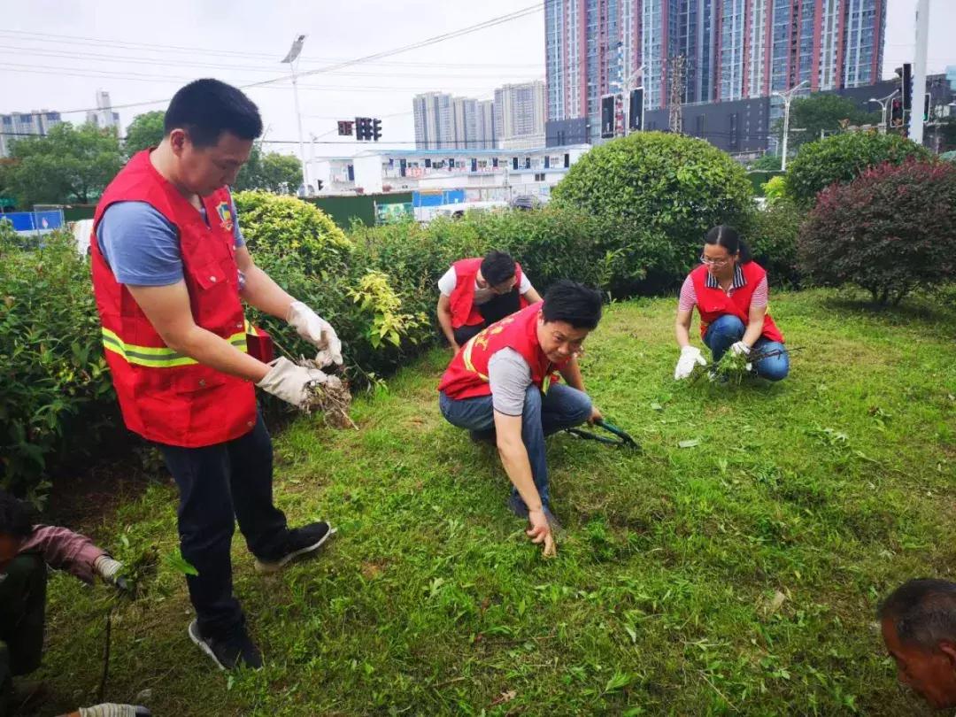 燕子矶街道最新动态报道