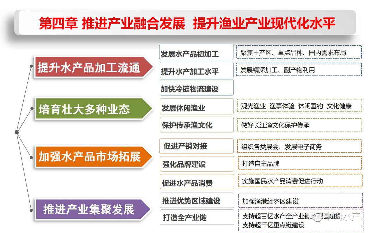 渔业社全新发展规划蓝图