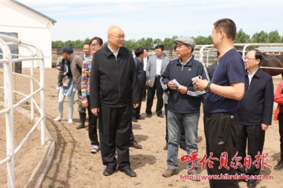 海拉尔农垦集团恩和牧场分公司领导团队最新调整及未来展望