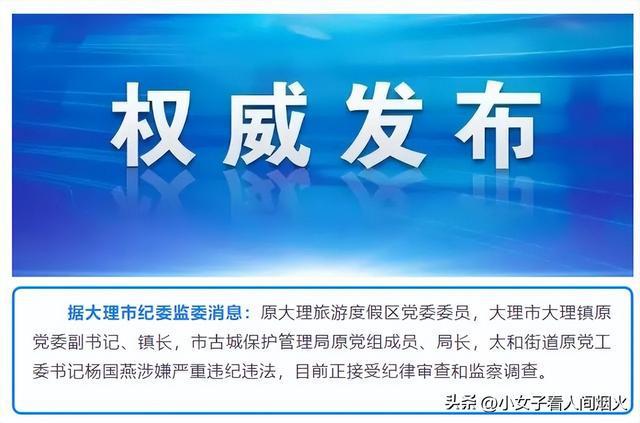 党家里村委会招聘信息公告发布与解读