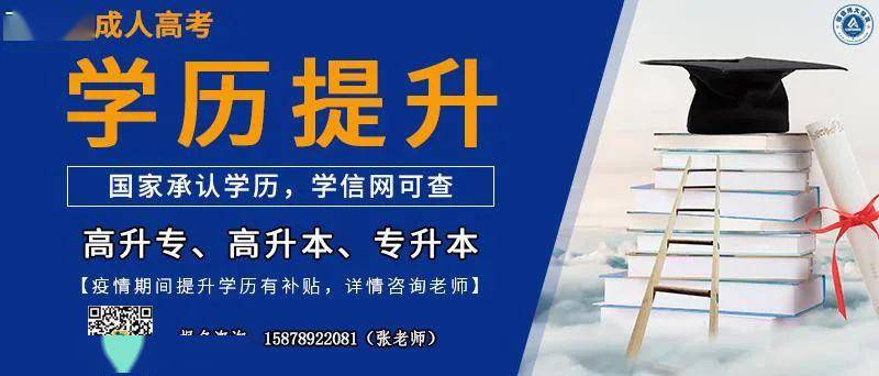 石鼓区人力资源和社会保障局招聘最新信息全面解析